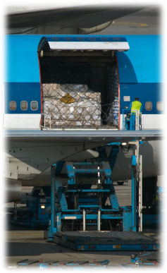 Cargo being unloaded from airplane